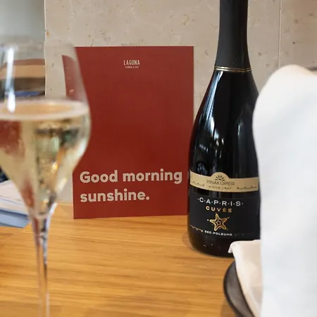 Laguna - Terme Krka Apartman *